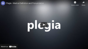 What is CDPAP resource center plegia