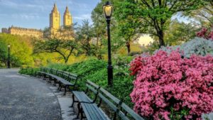 Home Care in New York in the Spring