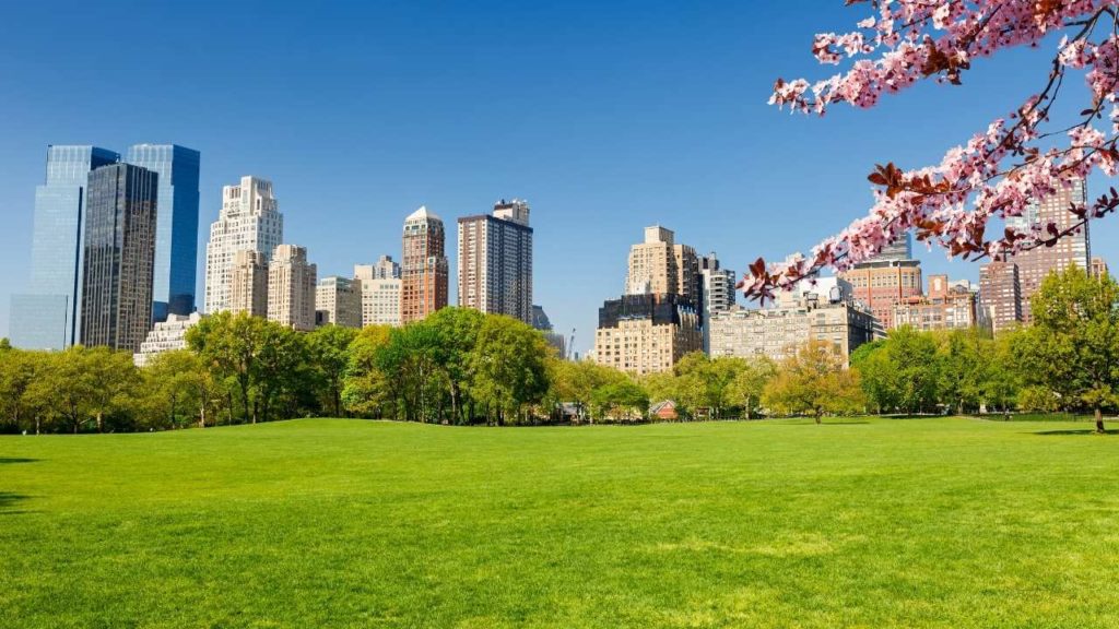 Home Care in New York in the Spring